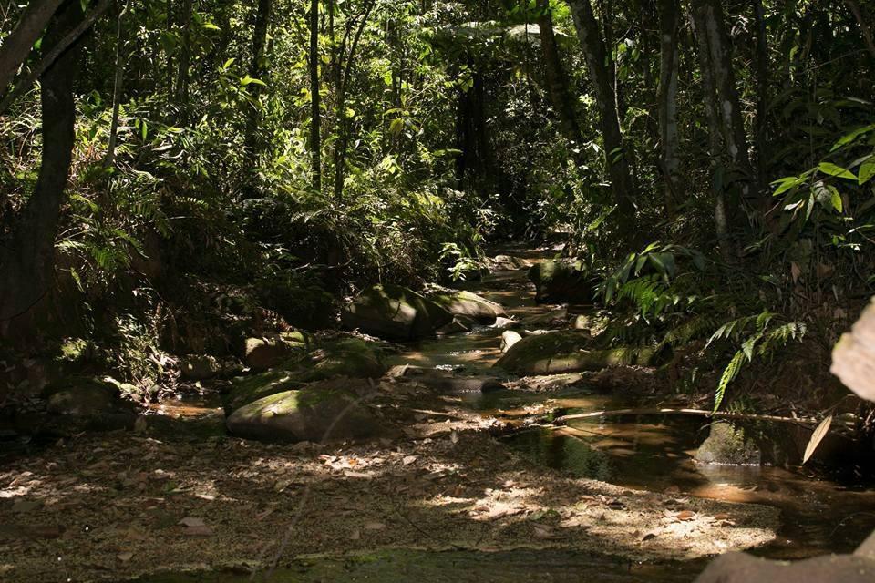 Hotel Fazenda Paraiso Da Serra Congonhas  Bagian luar foto
